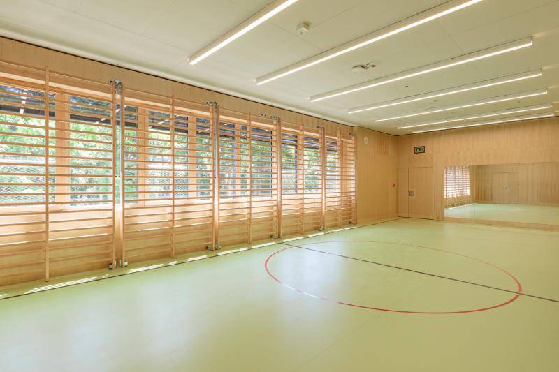 Die Sporthalle. Der Boden ist in grün eingebracht und mit bunten Spielfeld-Markierungen versehen. Die Wände sind mit Holz verkleidet. Vor den Fenstern sind Sprossenwände, ebenfalls aus Holz angeordnet. Die Sporthalle. Der Boden ist in grün eingebracht und mit bunten Spielfeld-Markierungen versehen. Die Wände sind mit Holz verkleidet. Vor den Fenstern sind Sprossenwände, ebenfalls aus Holz angeordnet.