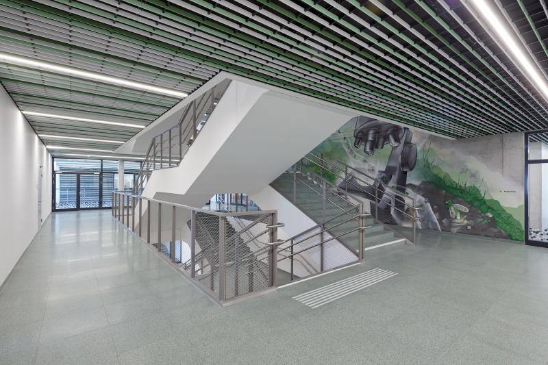 Das Treppenhaus. Bodenbelag mit grauen Steinplatten, Treppengeländer in Edeltahl. Decke mit grün, weißen Lamellen verkleidet. Die Treppenhauswand ist bemalt. Das Treppenhaus. Bodenbelag mit grauen Steinplatten, Treppengeländer in Edeltahl. Decke mit grün, weißen Lamellen verkleidet. Die Treppenhauswand ist bemalt.