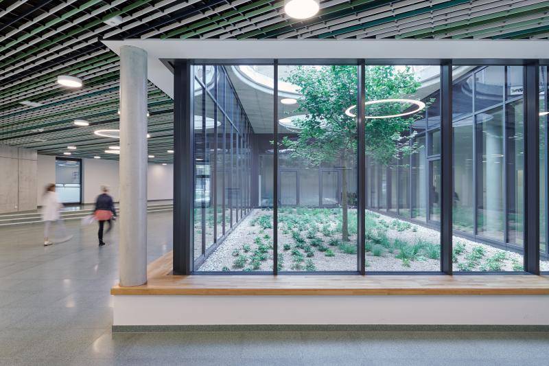 Blick vom Flur in einen kleinen Licht-Innenhof mit Kies und kleinen Bodendeckern sowie einem Baum. Um den rechteckigen Glasbau läuft eine Sitzfläche aus Holz. Blick vom Flur in einen kleinen Licht-Innenhof mit Kies und kleinen Bodendeckern sowie einem Baum. Um den rechteckigen Glasbau läuft eine Sitzfläche aus Holz.