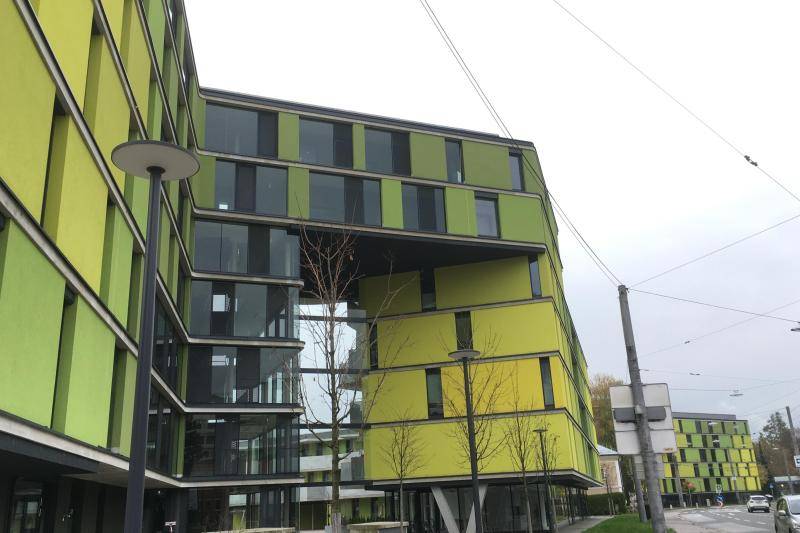 gef. WB Sbg (c) ZAB gef. WB Sbg (c) ZAB