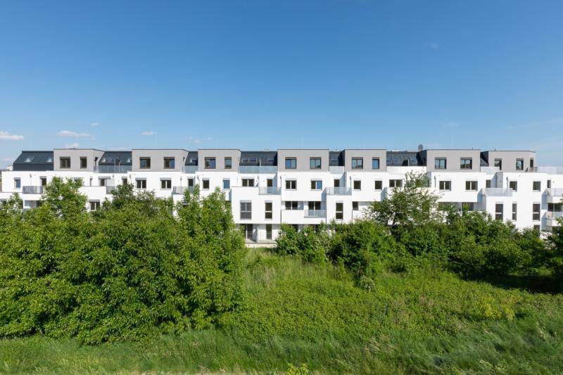 Das Gebäude, zu sehen hinter Sträuchern und kleinen Bäumen. Das Gebäude, zu sehen hinter Sträuchern und kleinen Bäumen.