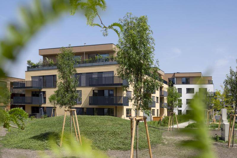 Durch Zweige im Vordergrund ist im Hintergrund das beige Gebäude mit seinen schwarzen Fensterrahmen und Balkongeländern zu sehen. Durch Zweige im Vordergrund ist im Hintergrund das beige Gebäude mit seinen schwarzen Fensterrahmen und Balkongeländern zu sehen.