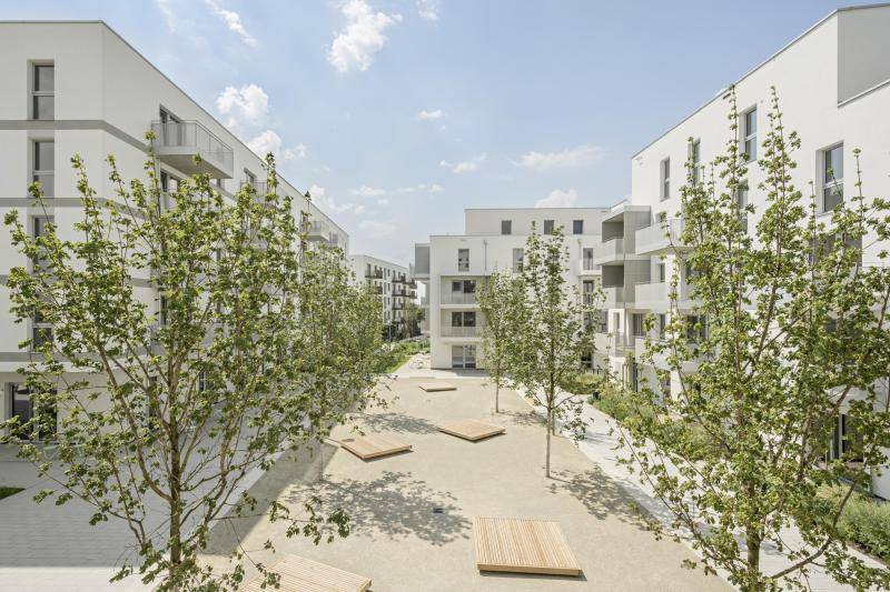 © Hertha Hurnaus Campo Breitenlee